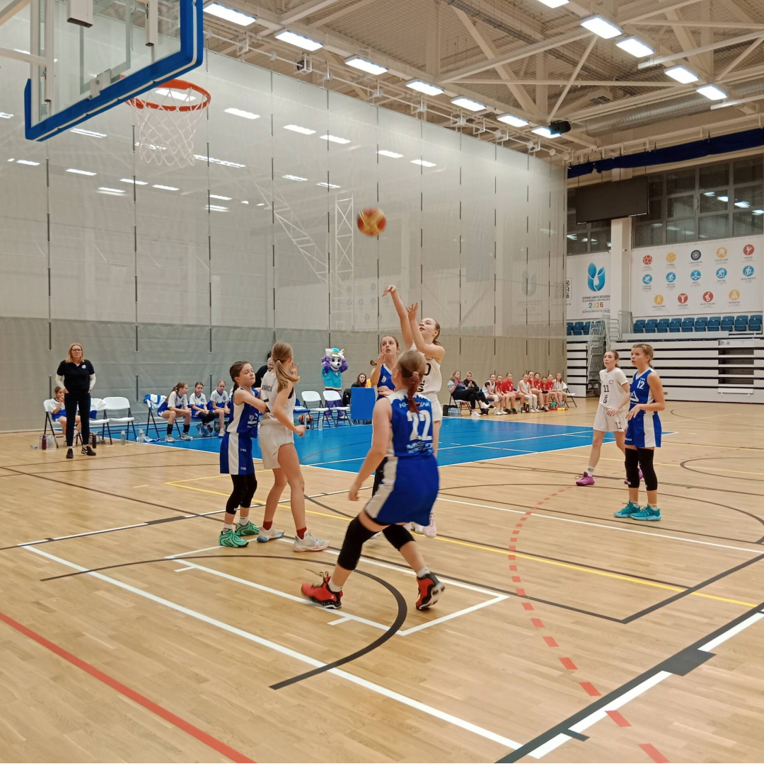 basket-1