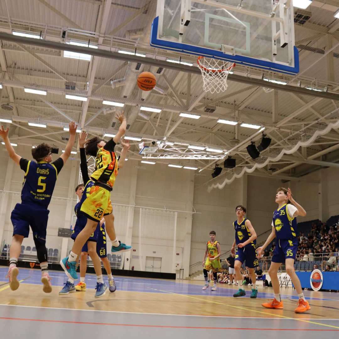 basket-2